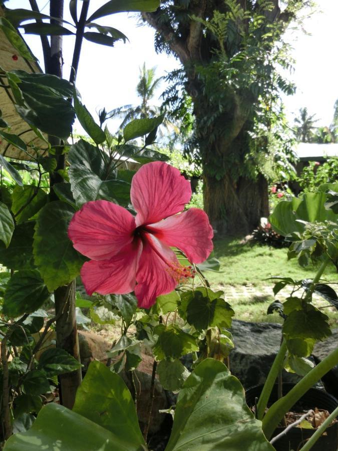 Balay Tuko Garden Inn Puerto Princesa Exterior photo